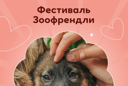 Фестиваль «ЗООФРЕНДЛИ» в МЕГА