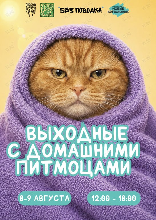 Выходные с домашними животными