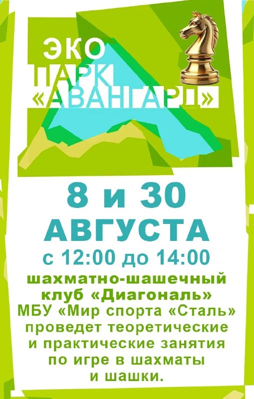 Занятия по шахматам и шашкам в парке «Авангард»