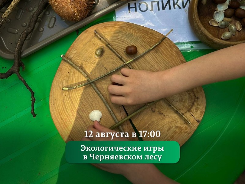 Экологическая игра в Черняевском лесу