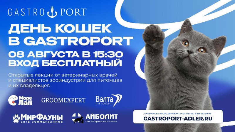 День кошек в GastroPort Adler: лекции ветеринарных специалистов