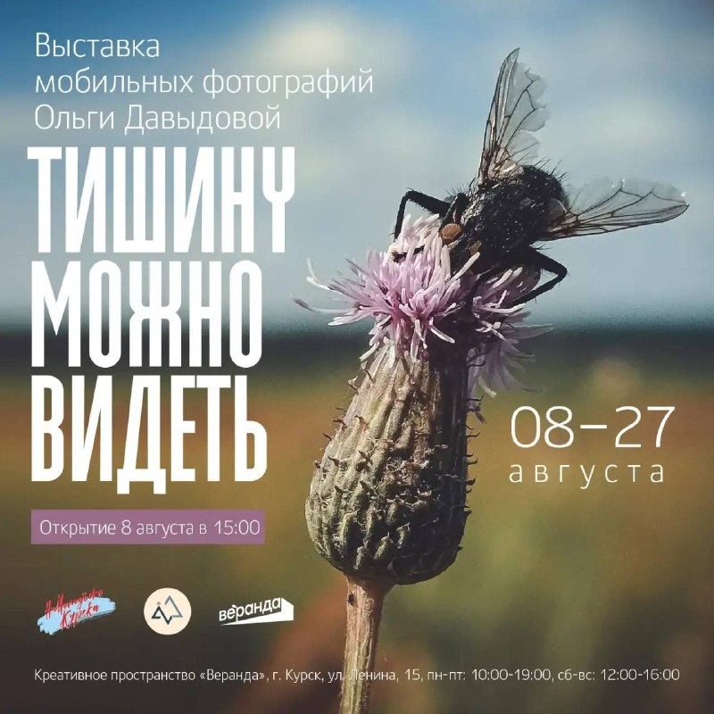 Выставка мобильных фотографий «Тишину можно увидеть»