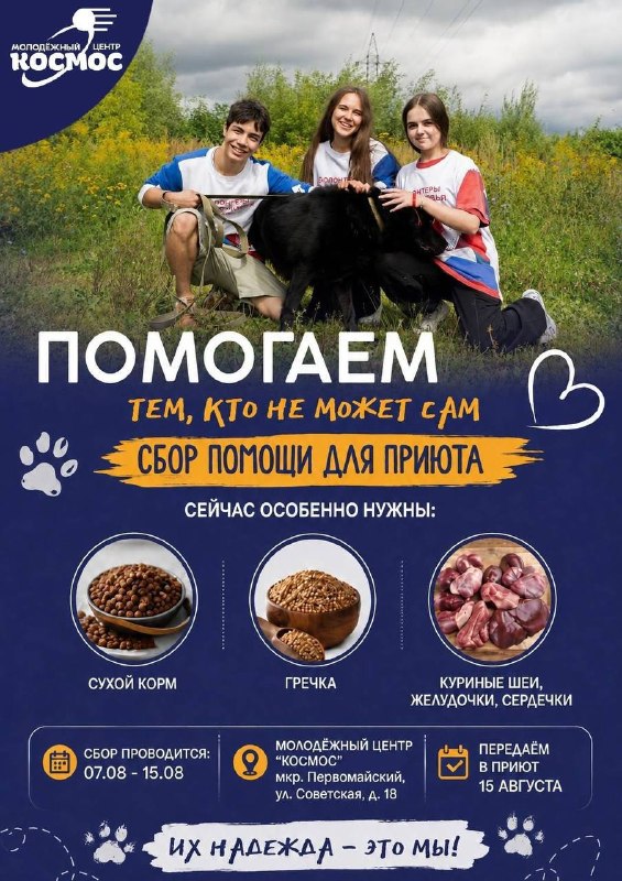 Сбор помощи для приюта бездомных животных