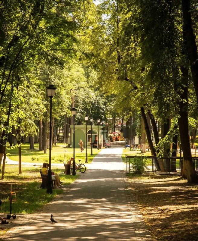 День Индии в Раменском городском парке