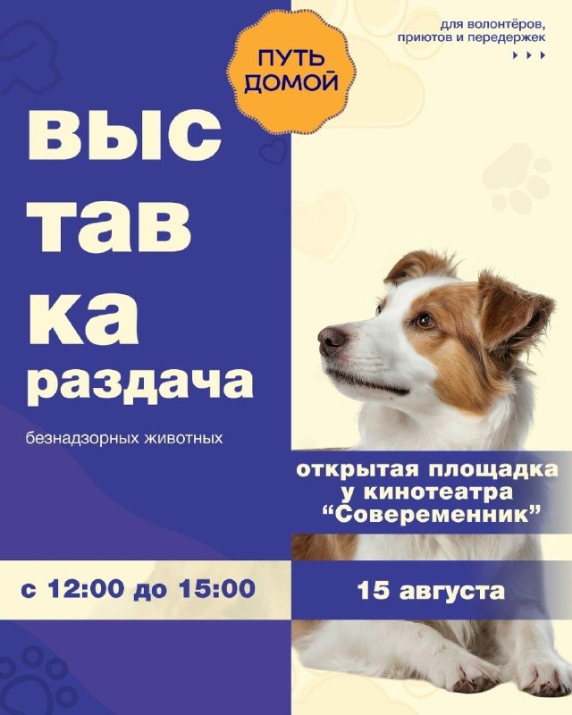 Выставка-раздача животных «Путь домой»