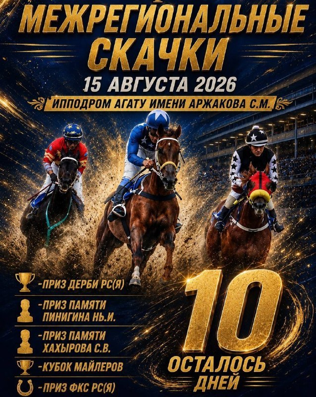 Межрегиональные скачки на ипподроме АГАТУ